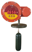 Float & Dial Gauge