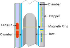 Magnetic Level Gauge