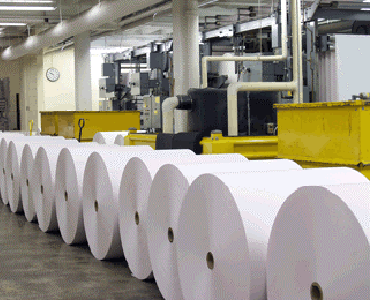 Paper and Pulp